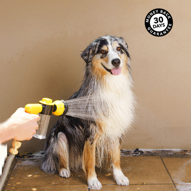 HydroDog™ - Clean your dog in seconds